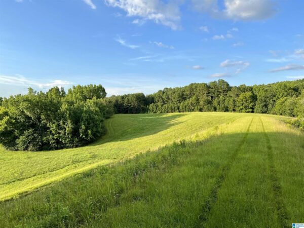 farm land in Talledega Alabama