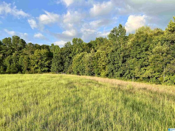 farm land with beautiful views in Talledega Alabama