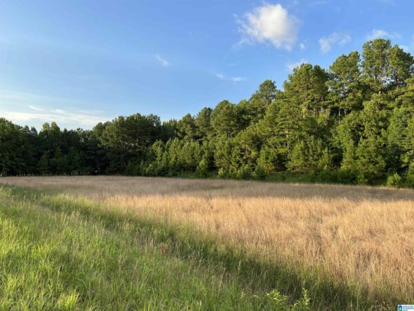 farm land with beautiful views in Talledega Alabama