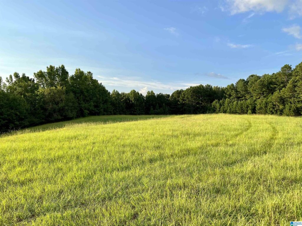 farm land with beautiful views in Talledega Alabama