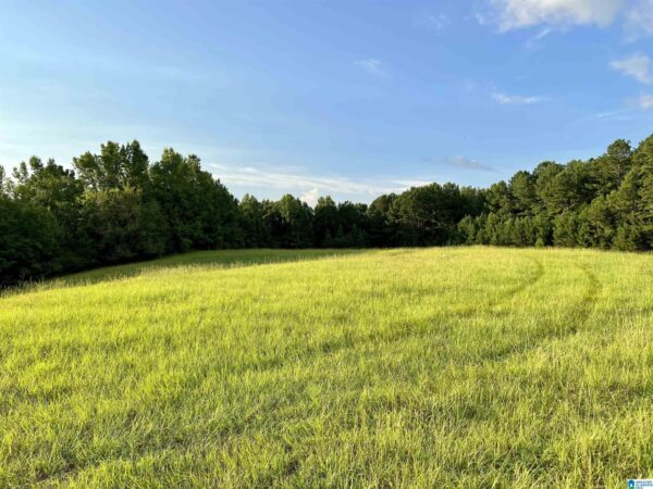 farm land with beautiful views in Talledega Alabama