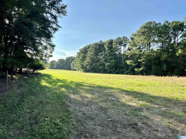 farm land with beautiful views in Talledega Alabama