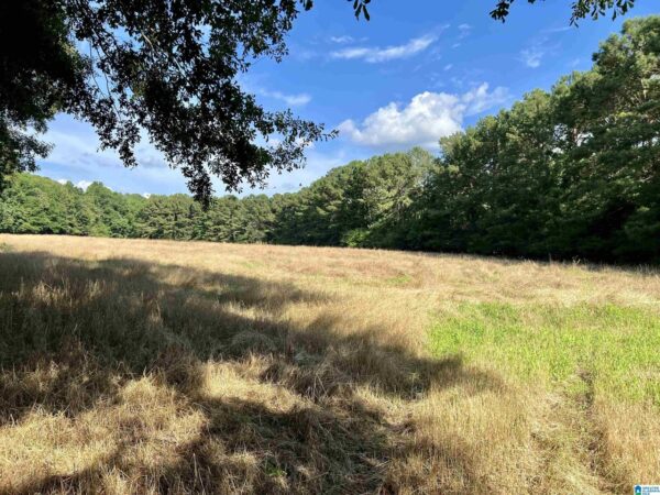 farm land with beautiful views in Talledega Alabama