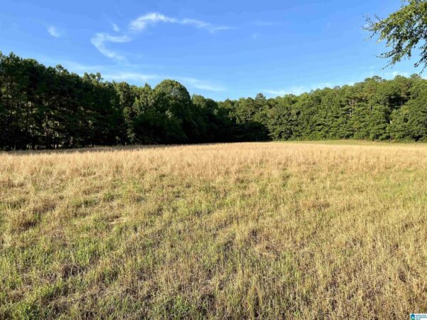 farm land with beautiful views in Talledega Alabama