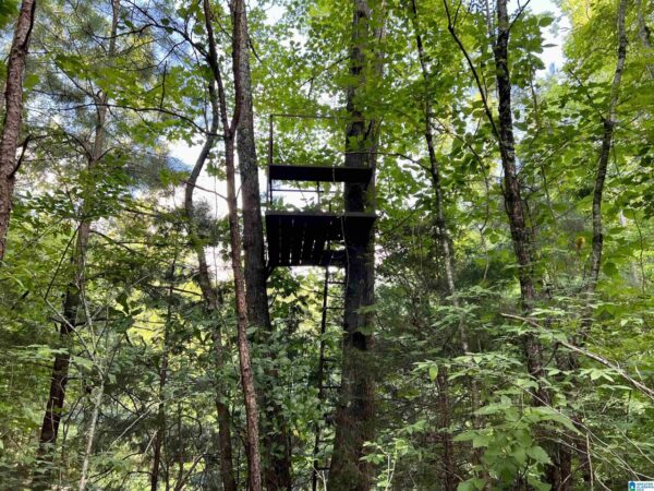 farm land with woods for hunting in Talledega Alabama