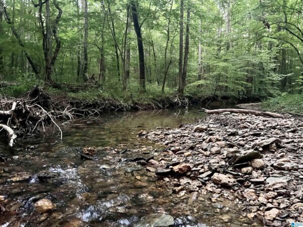 farm land with woods and running creek in Talledega Alabama