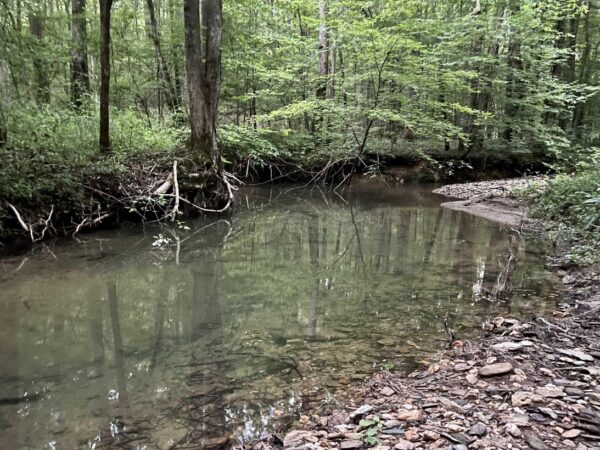farm land with woods and running creek in Talledega Alabama