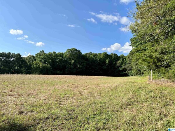 farm land with beautiful views in Talledega Alabama