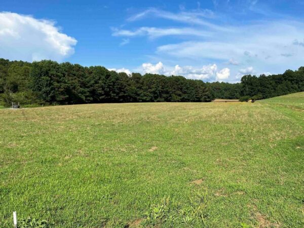 farm land with beautiful views in Talledega Alabama