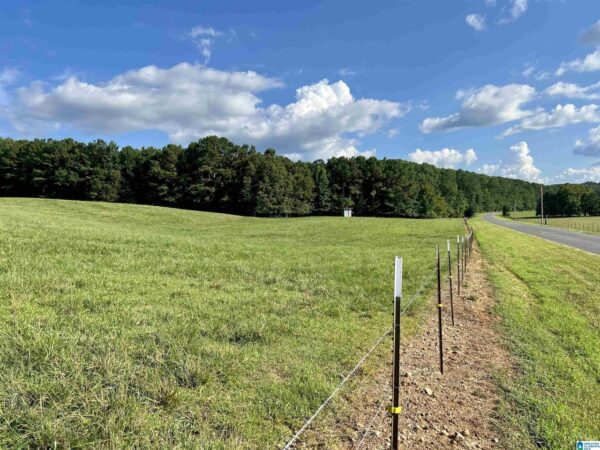 farm land with beautiful views in Talledega Alabama