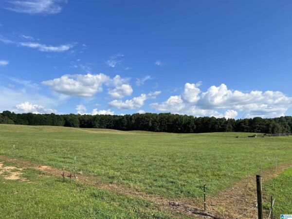 farm land with beautiful views in Talledega Alabama