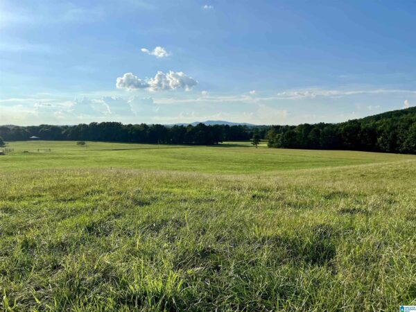 farm land with beautiful views in Talledega Alabama