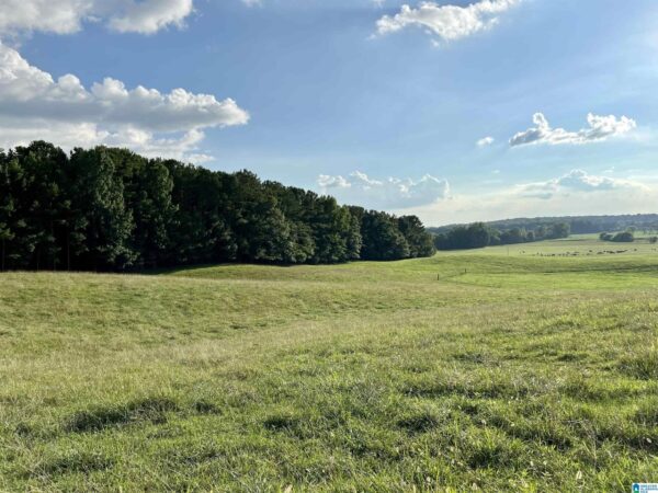 farm land with beautiful views in Talledega Alabama